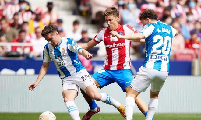 速打出反击 速打出反击