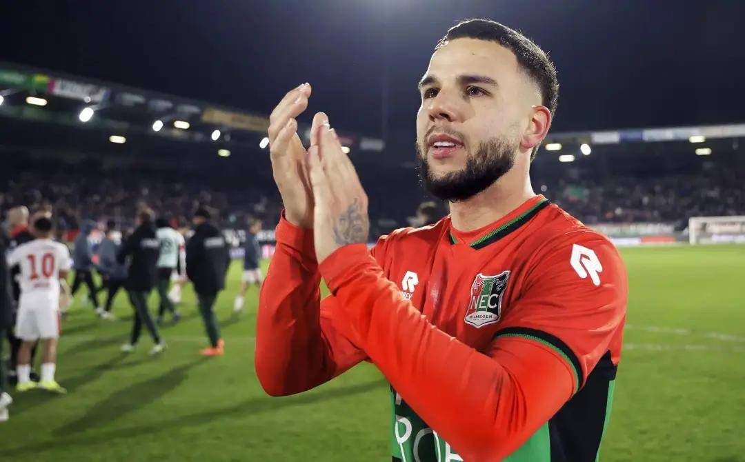 尼的应变能 尼的应变能