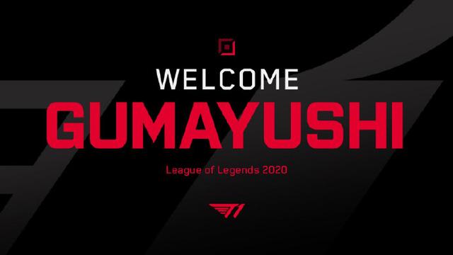 选择尼克斯 选择尼克斯