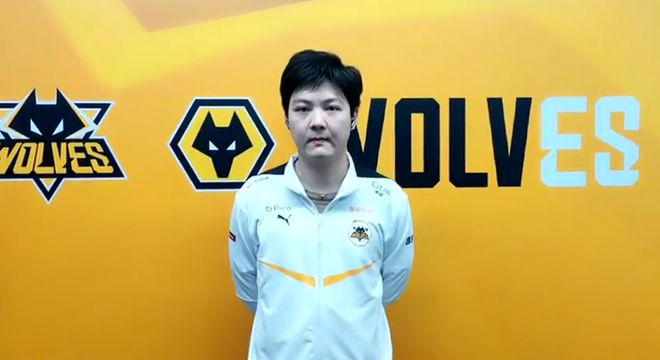 对新手尤其